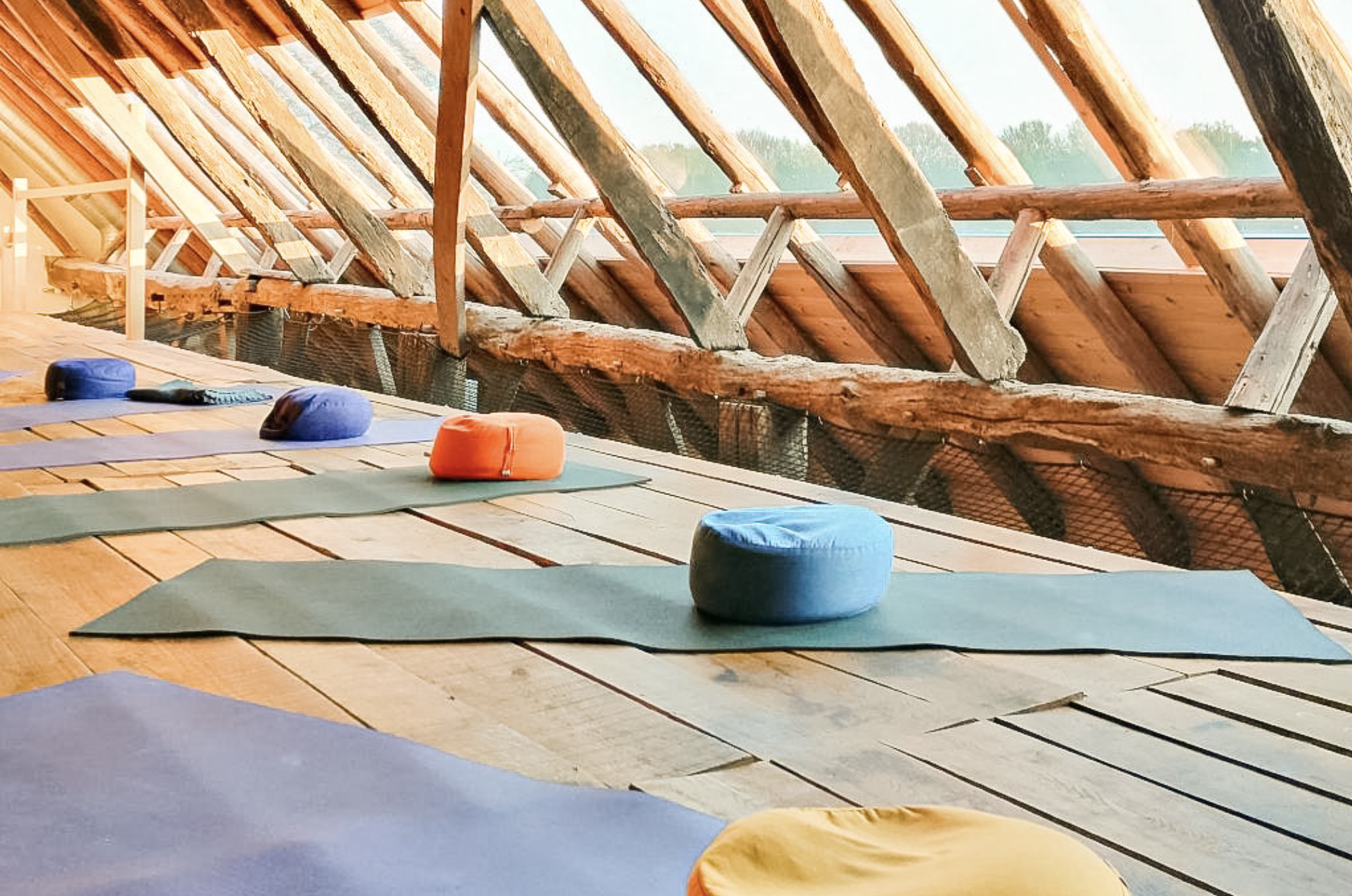 Ashtanga yoga retreat in the Netherlands